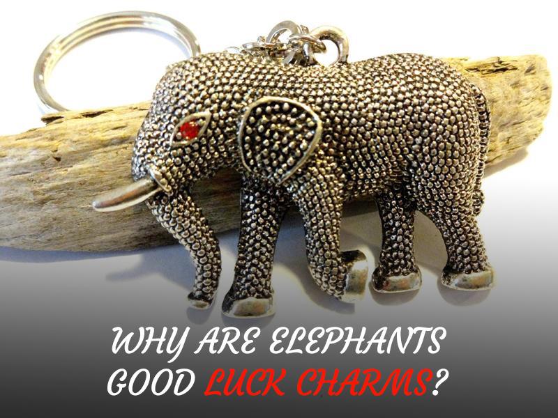 Why Are Elephants Good Luck Charms? Let’s Find Out